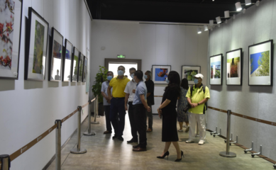 光影定格！春暖花开 大美沙田摄影作品展开幕